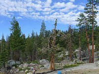 YosemiteCreek 111 : YosemiteCreek